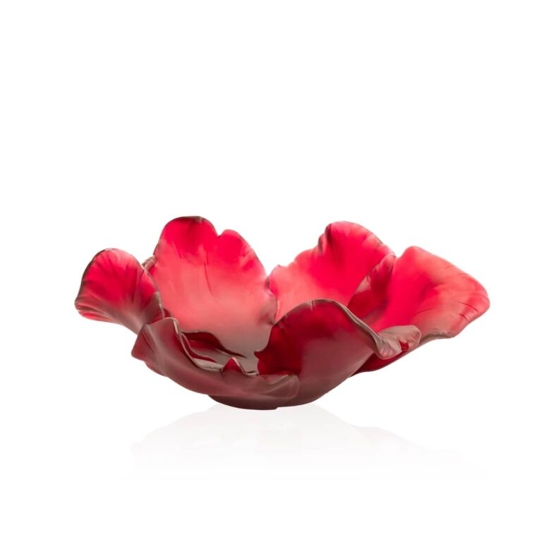 coupe-tulipe-rouge-daum